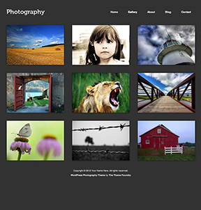 Photography WordPress theme