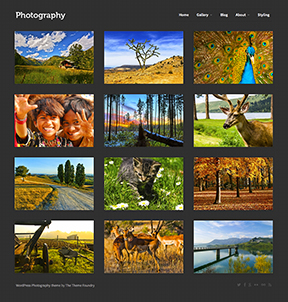 photography-index