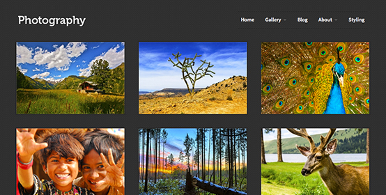 Photography WordPress theme