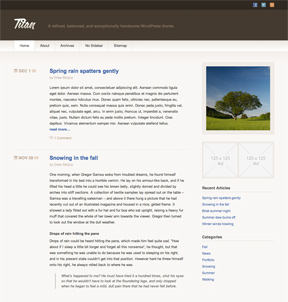 Titan WordPress theme