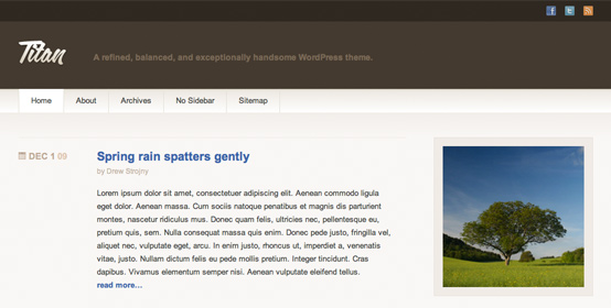 Titan WordPress theme