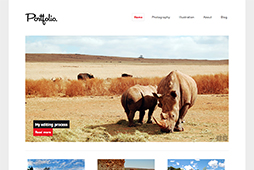 Portfolio theme