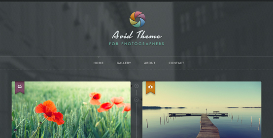 Avid WordPress theme