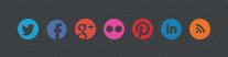 Screenshot of the social profile link icons.