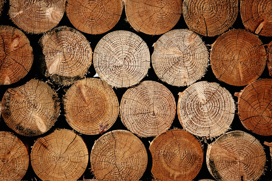 Similar looking logs representing the duplicate nature of a WordPress child theme.