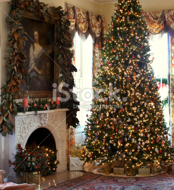 Christmas tree in living room